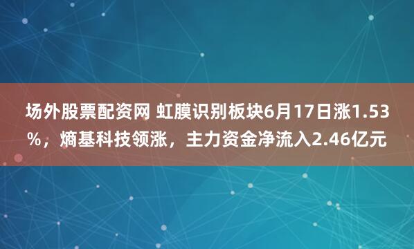 场外股票配资网 虹膜识别板块6月17日涨1.53%，熵基科技领涨，主力资金净流入2.46亿元