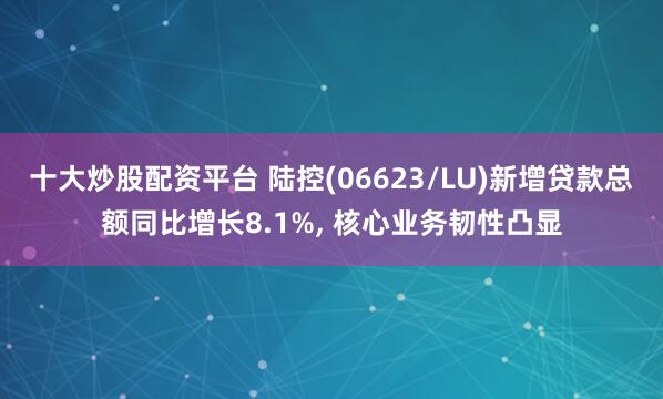 十大炒股配资平台 陆控(06623/LU)新增贷款总额同比增长8.1%, 核心业务韧性凸显