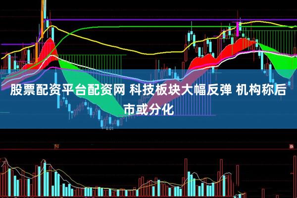 股票配资平台配资网 科技板块大幅反弹 机构称后市或分化